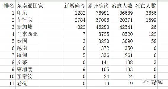 印度尼西亚疫情下的挑战与应对策略