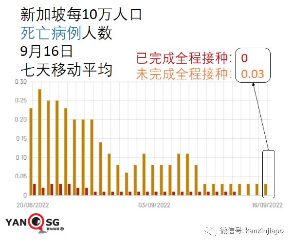 新加坡放开疫情限制，逐步复苏与全球视野下的新篇章