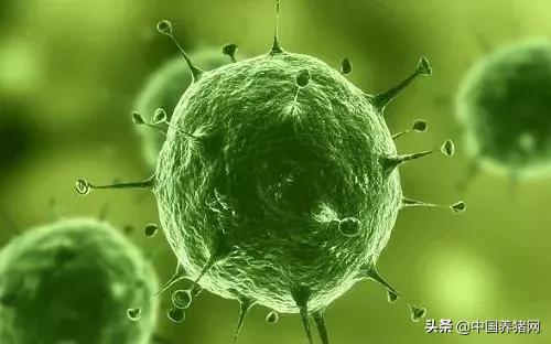 苏丹疫情最新消息，疑似病例与确诊人数持续上升，国家面临严峻挑战