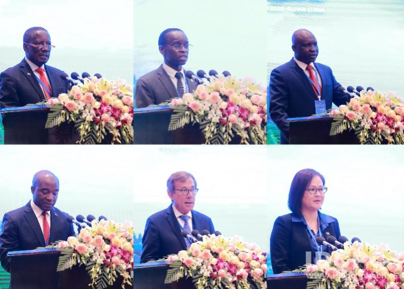 马拉维共和国疫情，挑战与应对策略