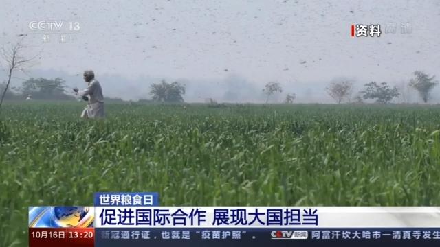 2021年莫桑比克最新新冠疫情，挑战与应对策略