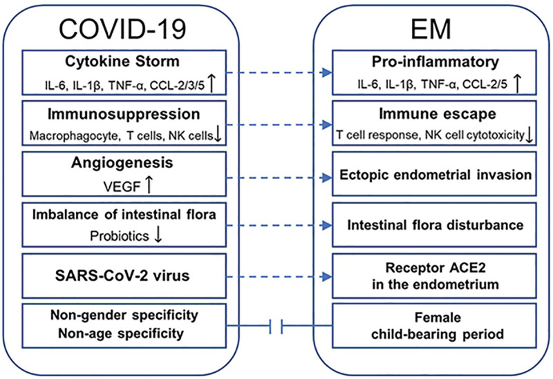 The Timeline of the COVID-19 Pandemic: When Did It Start and When Will It End?