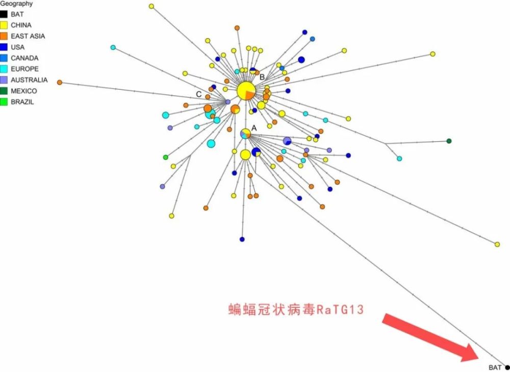 中国疫情何时开始？追溯新冠病毒的起源与传播