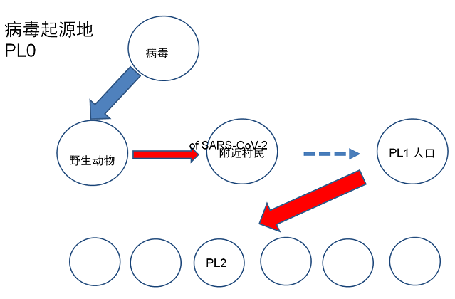 武汉疫情何时开始，追溯2019年新型冠状病毒的起源