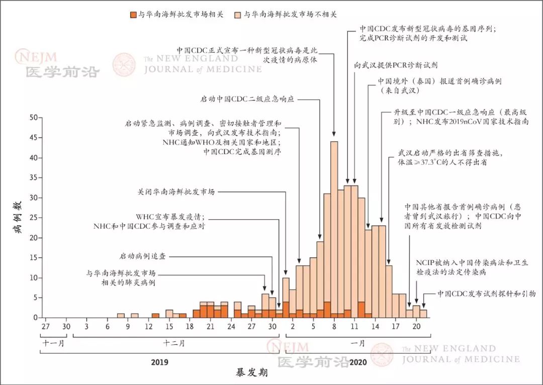 武汉疫情是哪一年几月份发生的？回顾2019年末的疫情起源与全球影响