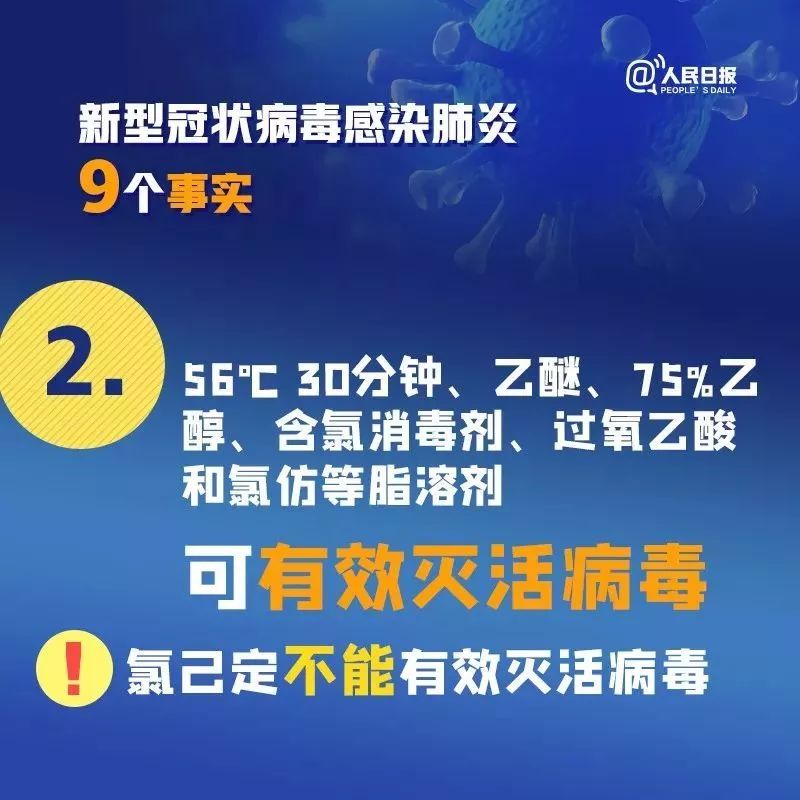 新冠病毒疫情，2019年末的全球健康危机