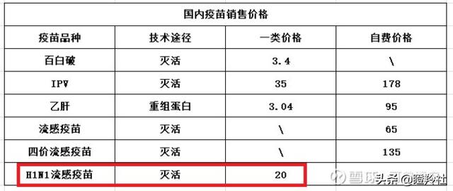 2009年全球重大疫情，H1N1流感大流行