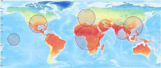 疫情最新消息数据地图，全球疫情动态与防控策略解析