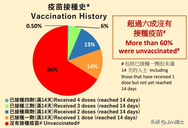 最新疫情死亡数据揭示全球抗疫挑战与希望