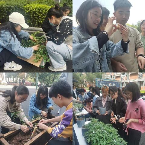 重庆疫情结束时间表，从防控到复苏的全面解析