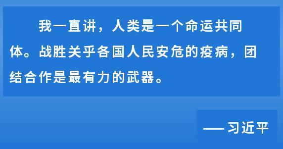 南美洲疫情严重，挑战与应对策略