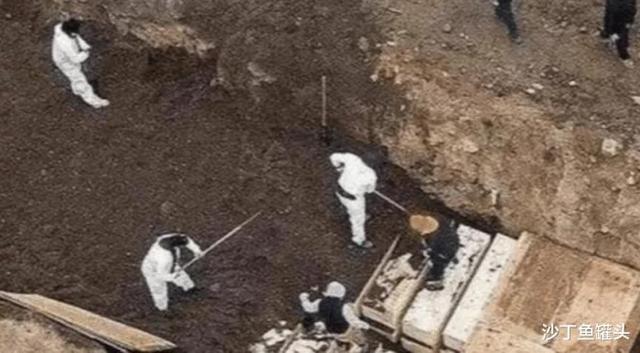 哥伦比亚疫情突破1000万，挑战与希望并存的抗疫之路