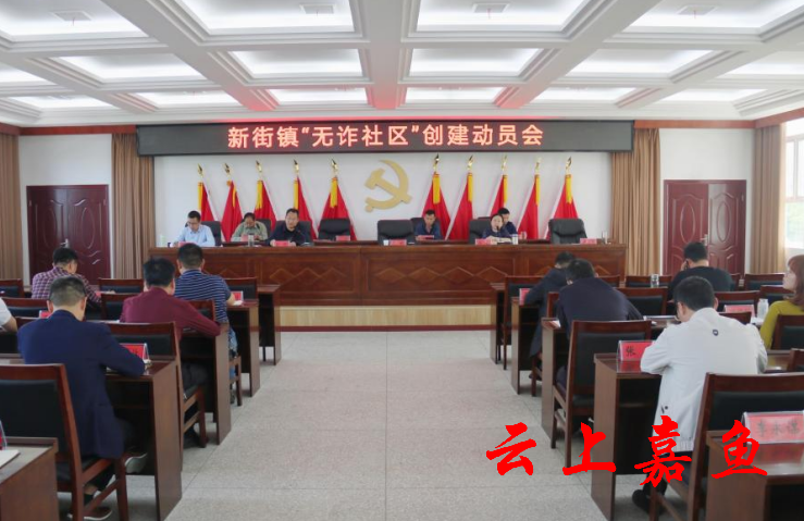 大洋洲镇疫情，挑战与应对的社区故事