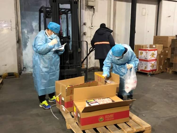 疫情下巴西牛腩进口，挑战与机遇并存