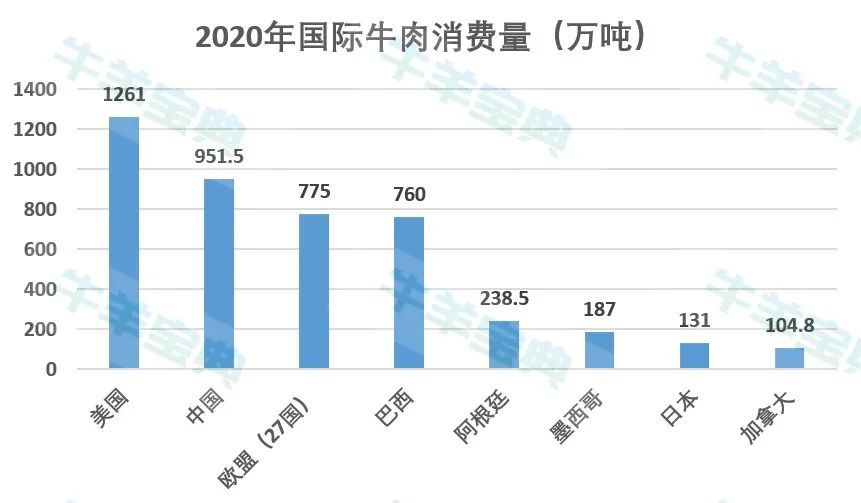 疫情下的巴西进口牛腩，挑战与机遇并存