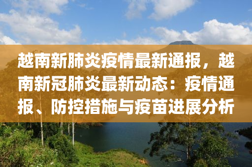 越南疫情最新通报，今日消息与防控挑战