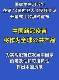 新冠疫情是哪一年发生？回顾全球大流行的起源与影响