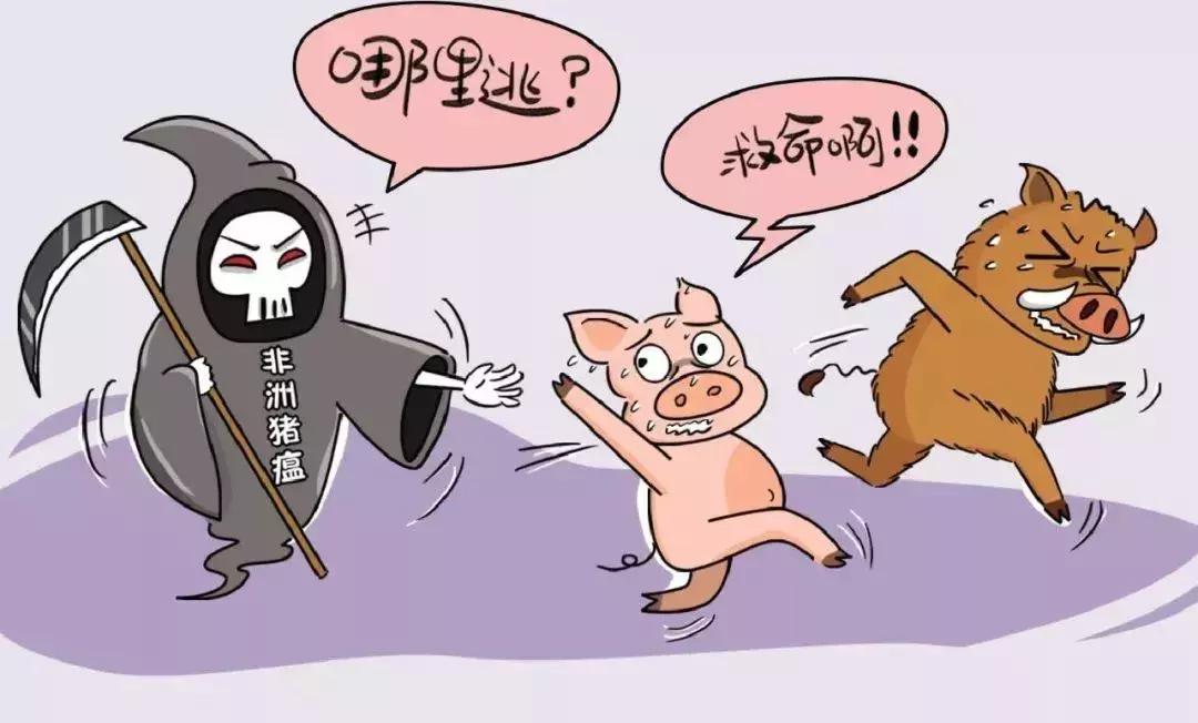 非洲疫情严重，挑战与希望并存
