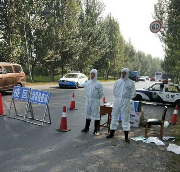 非洲疫情种类最新消息，多重挑战下的公共卫生应对