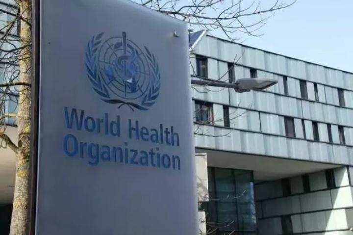 2009年全球疫情回顾，H1N1流感大流行的挑战与应对