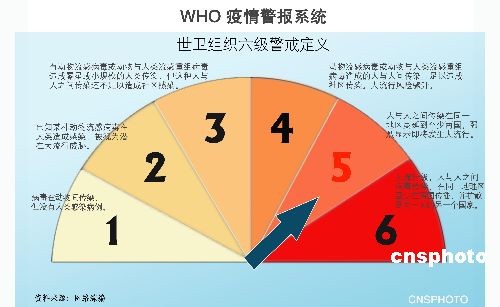 2009年全球H1N1流感大流行，病毒与疫情的挑战与应对