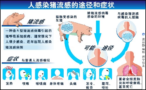 2009年全球疫情回顾，H1N1流感病毒的传播与应对