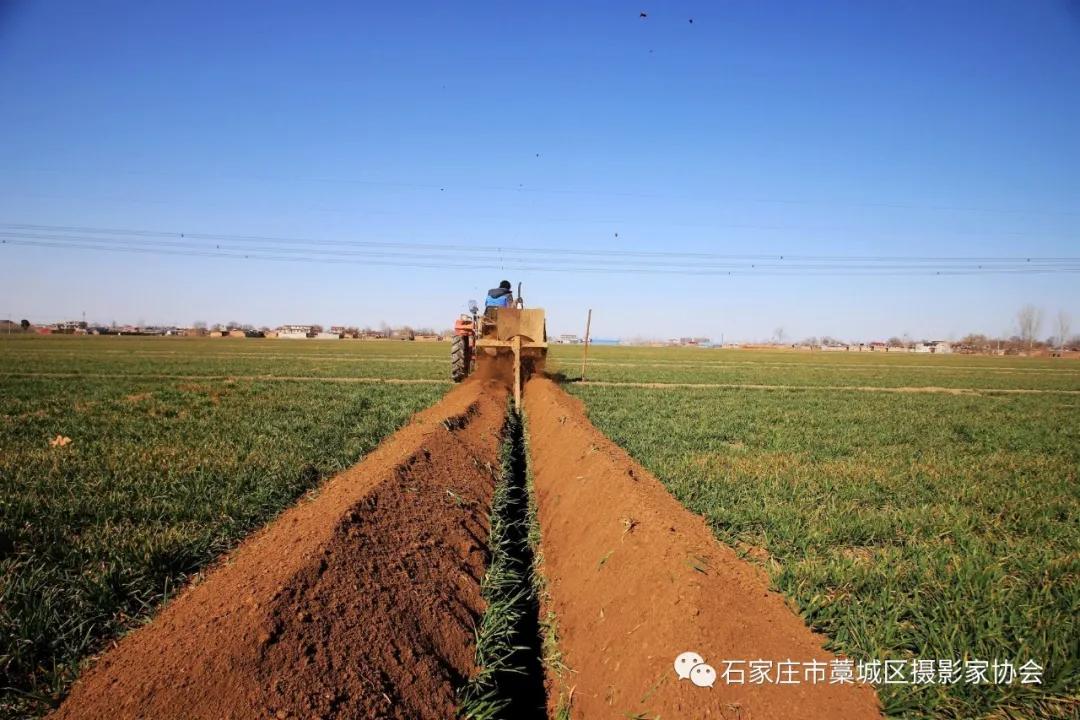 藁城疫情从什么时候开始的，回顾与反思