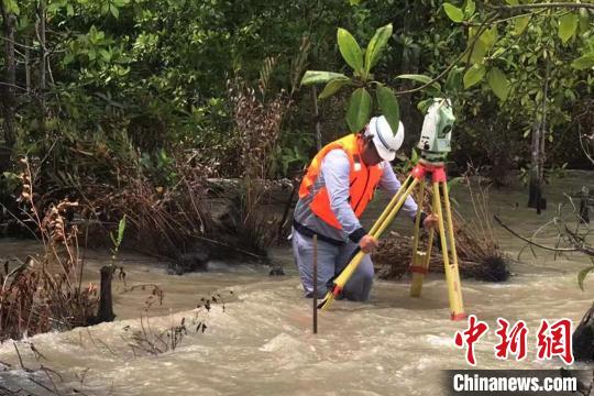 世界疫情中的一片净土，朝鲜的抗疫之路