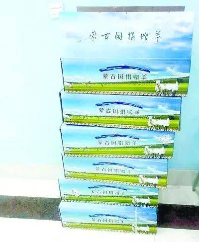 蒙古国新冠肺炎疫情的挑战与应对策略