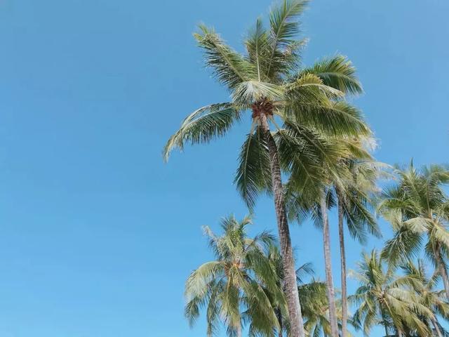 亚洲疫情最新信息，挑战与希望并存的复苏之路