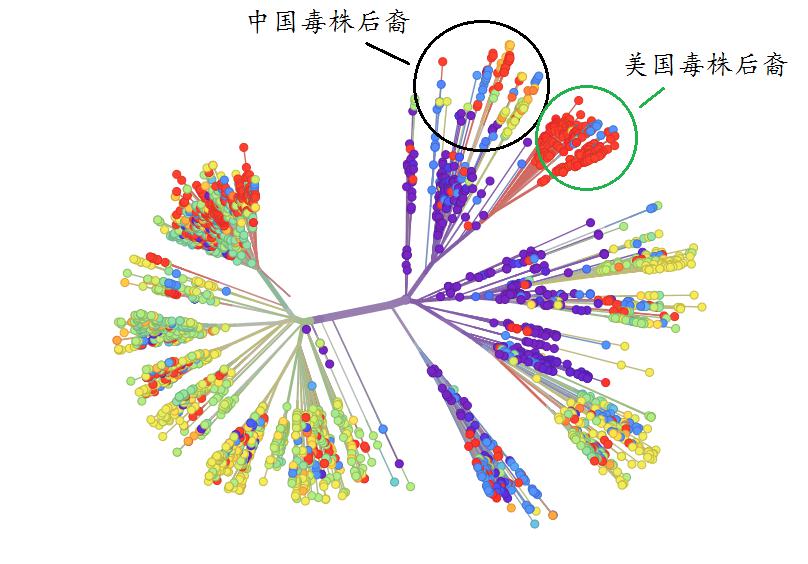 去年疫情爆发的起点，追溯新冠病毒的起源与传播