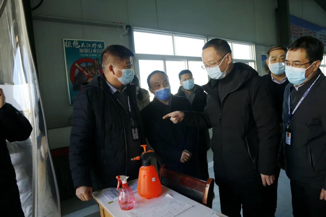 疫情的开始，追溯全球大流行的爆发年份