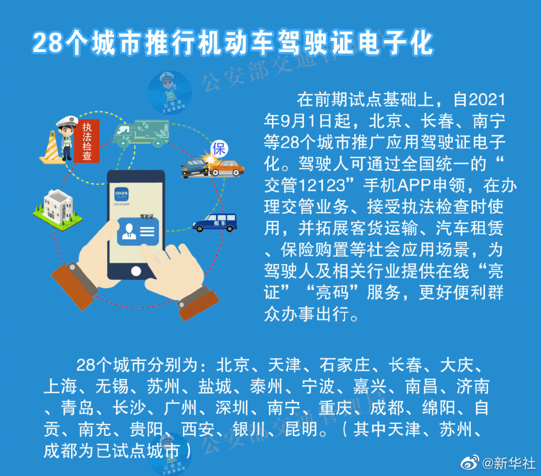 立陶宛国家疫情下的挑战与应对策略