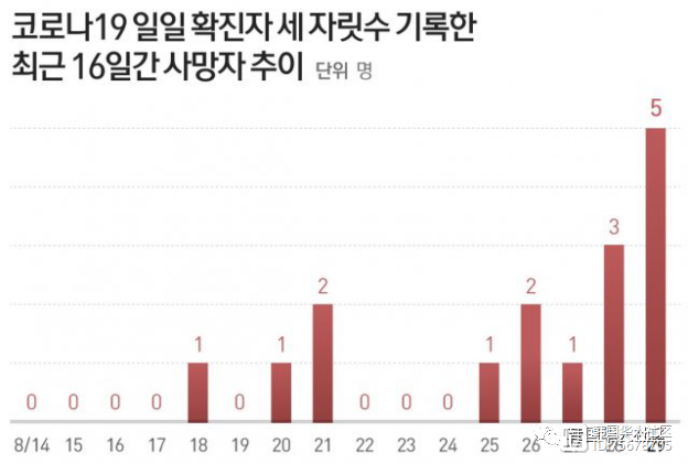 韩国疫情趋势分析，挑战、应对策略与未来展望