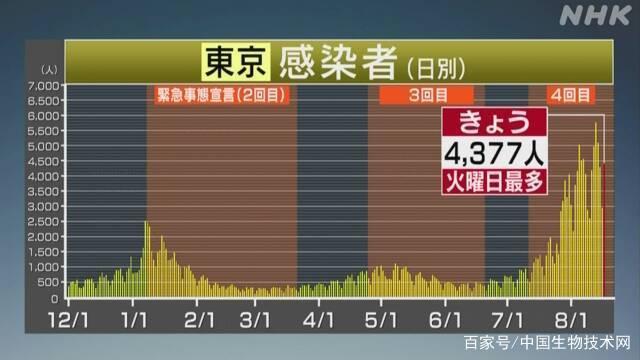 日本新冠最新疫情消息，挑战与应对策略