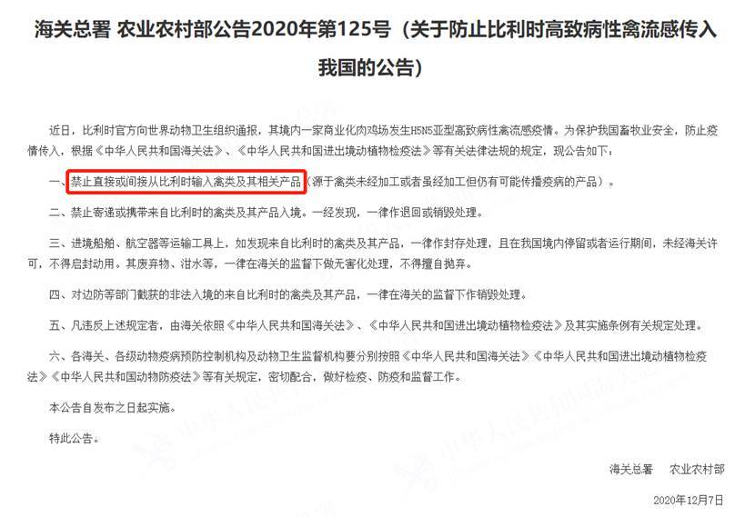 比利时疫情最新通告，全面应对与未来展望