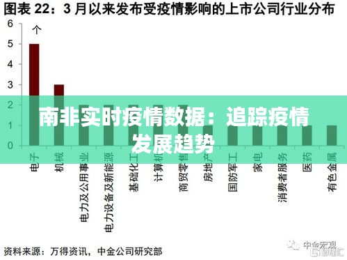 南非疫情爆发，挑战与应对策略