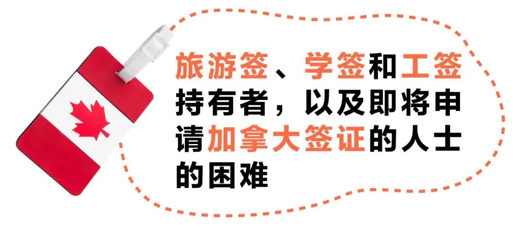 疫情最新数据，加拿大疫情现状与应对策略