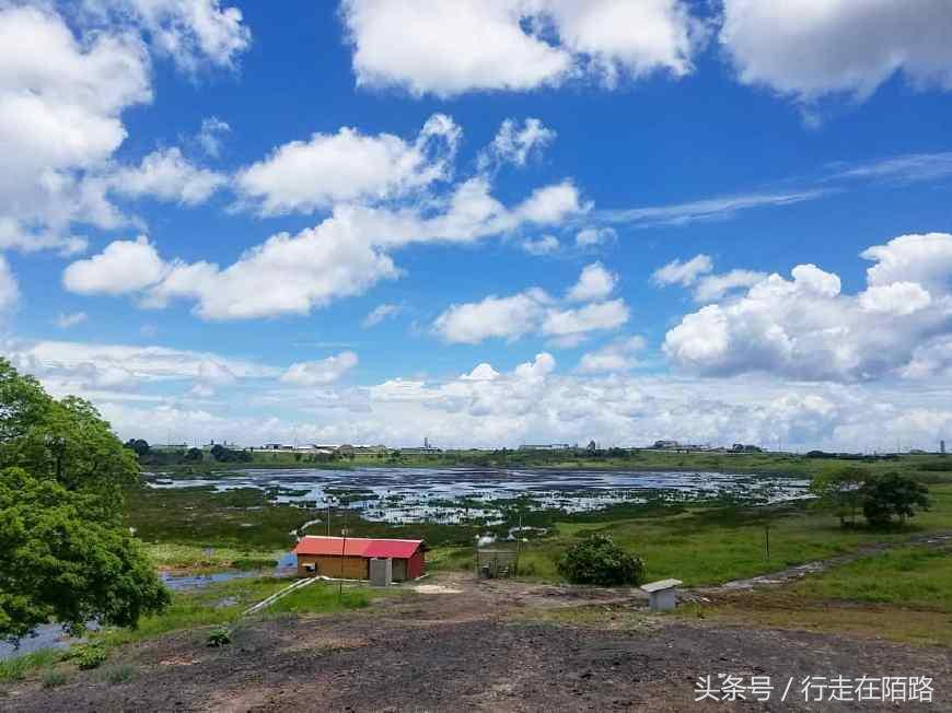 亚洲疫情恶化与巴巴多斯，全球公共卫生挑战下的岛屿国家应对