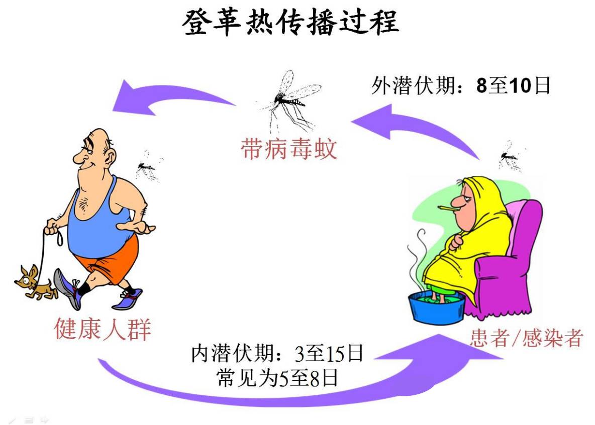 巴西登革热疫情严峻，挑战与应对策略