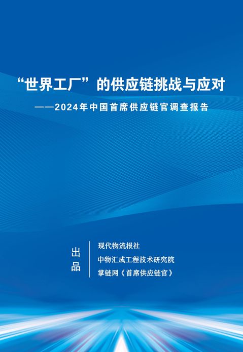 印度疫情2024，挑战、应对与全球影响