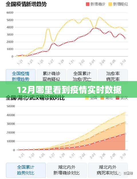 最新全球疫情数据实时更新查询，掌握疫情动态，科学防控