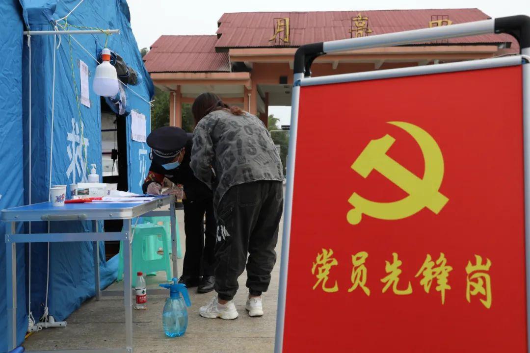 最新全球疫情实时动态，全球抗疫形势分析与展望