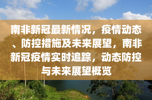 南非新冠肺炎疫情，挑战、应对与未来展望