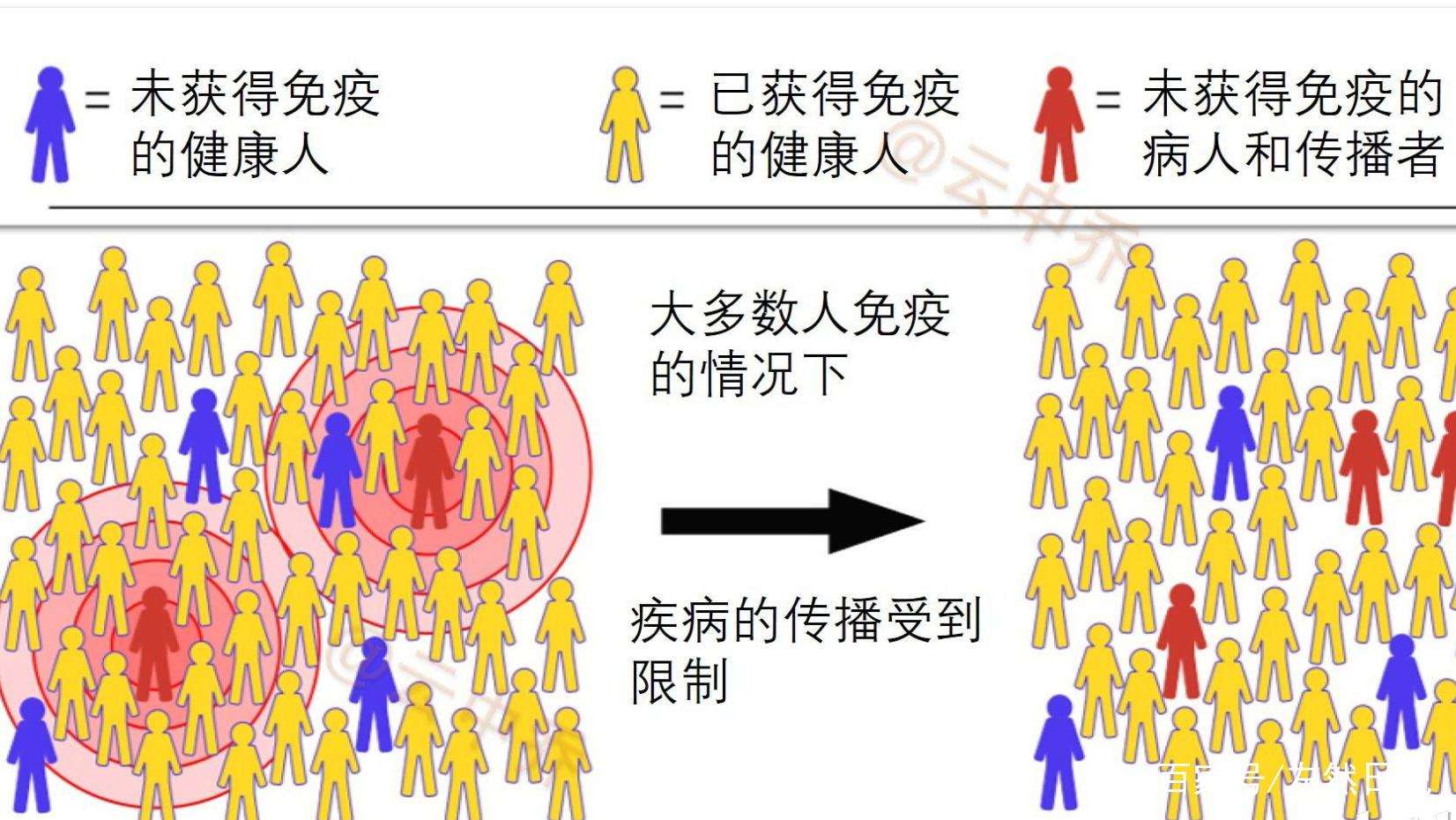 芬兰疫情最新消息，死亡人数持续上升，政府采取紧急措施应对