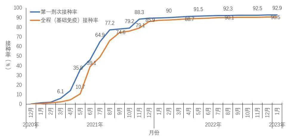 国内疫情最新动态，死亡与新增病例的现状与应对