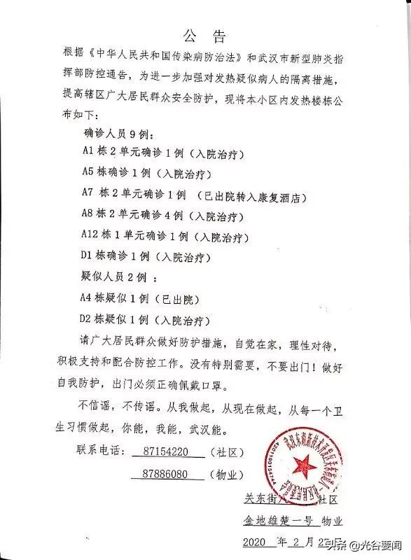 疫情死亡数据表，数字背后的生命与反思