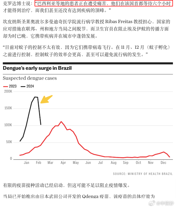 巴西登革热疫情形势严峻，挑战、应对与未来展望