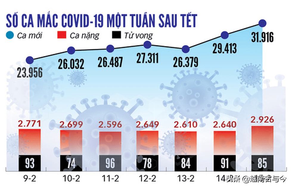 越南疫情最新实时数据，挑战与应对策略