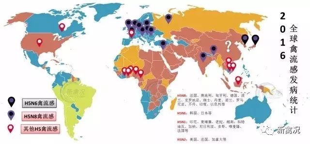 亚洲疫情最新排名，格鲁吉亚的防控挑战与全球视野下的位置